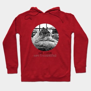 all cats are beautiful Hoodie